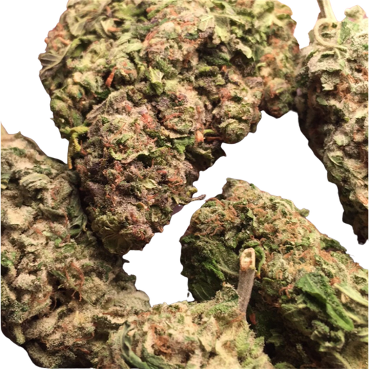 Alaska Thunder Grape