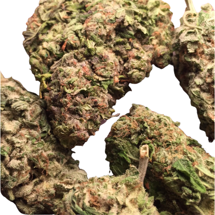 Alaska Thunder Grape