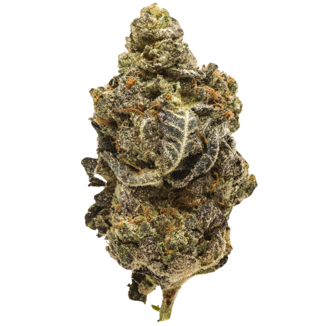Alien Cookies
