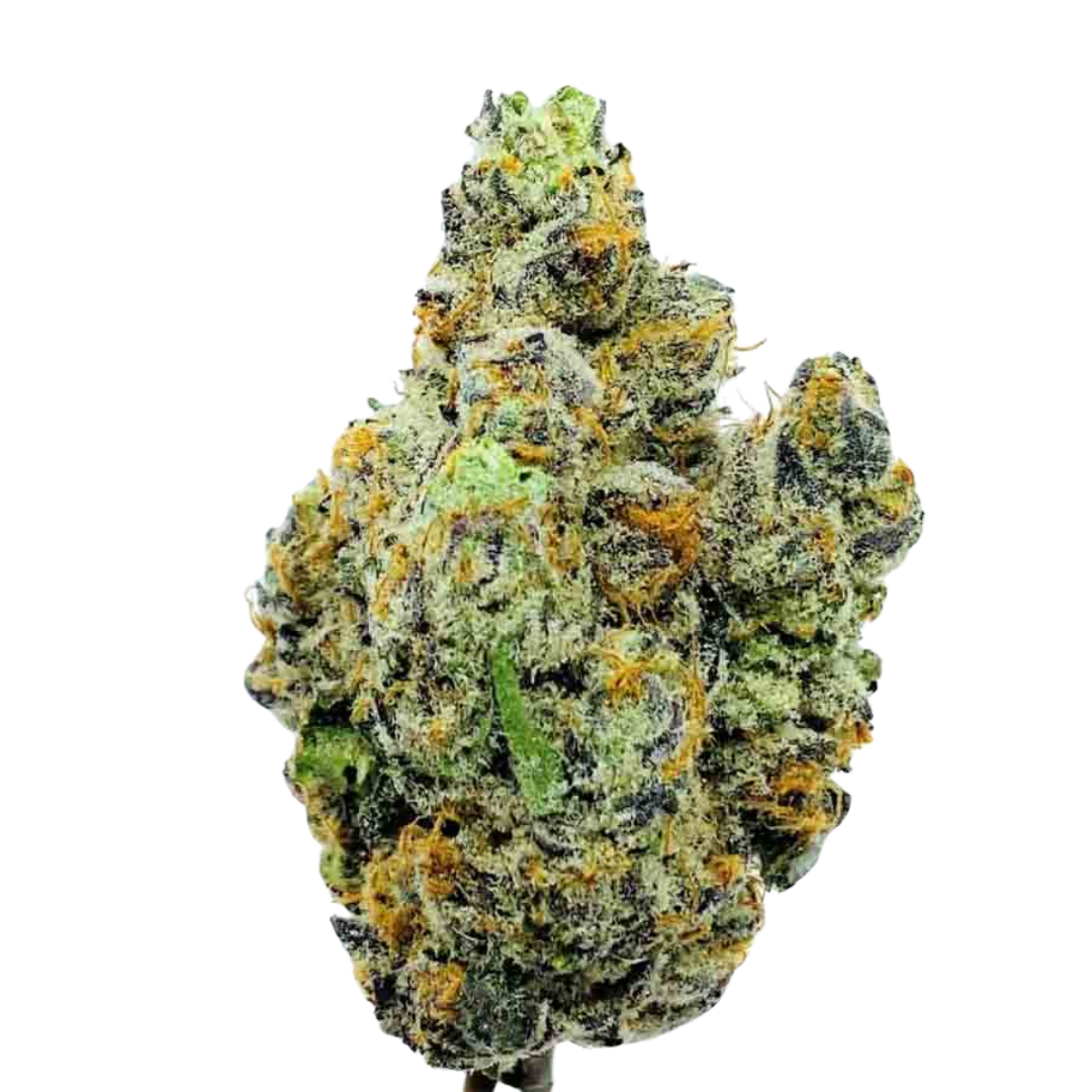 Alien Inferno
