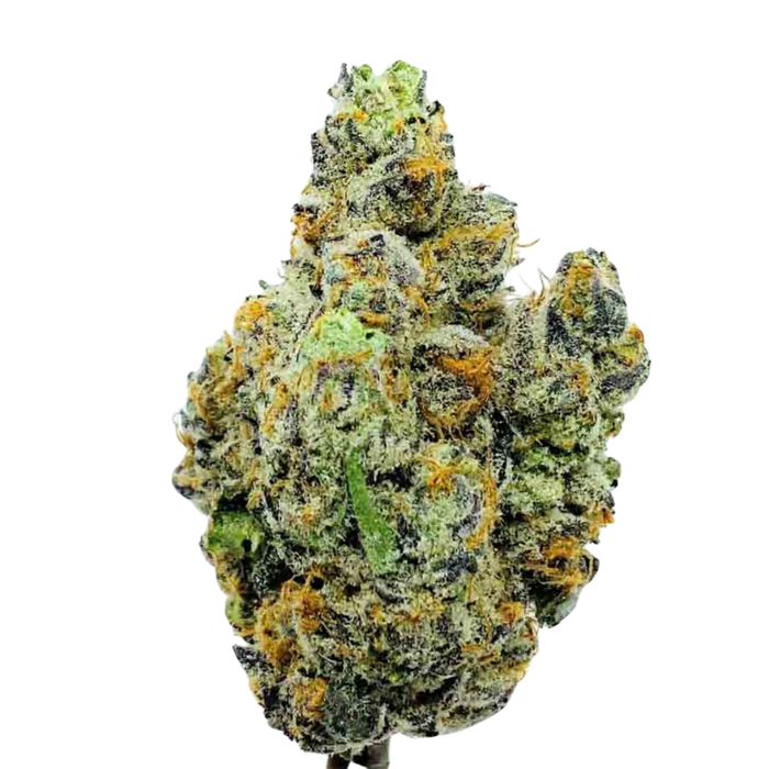 Alien Inferno