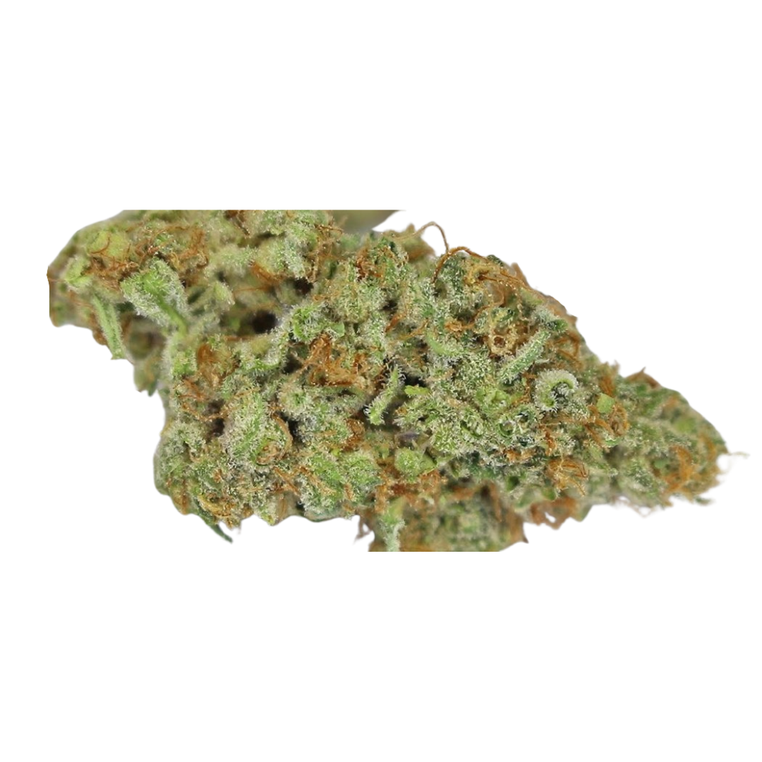 Alien Orange Gum