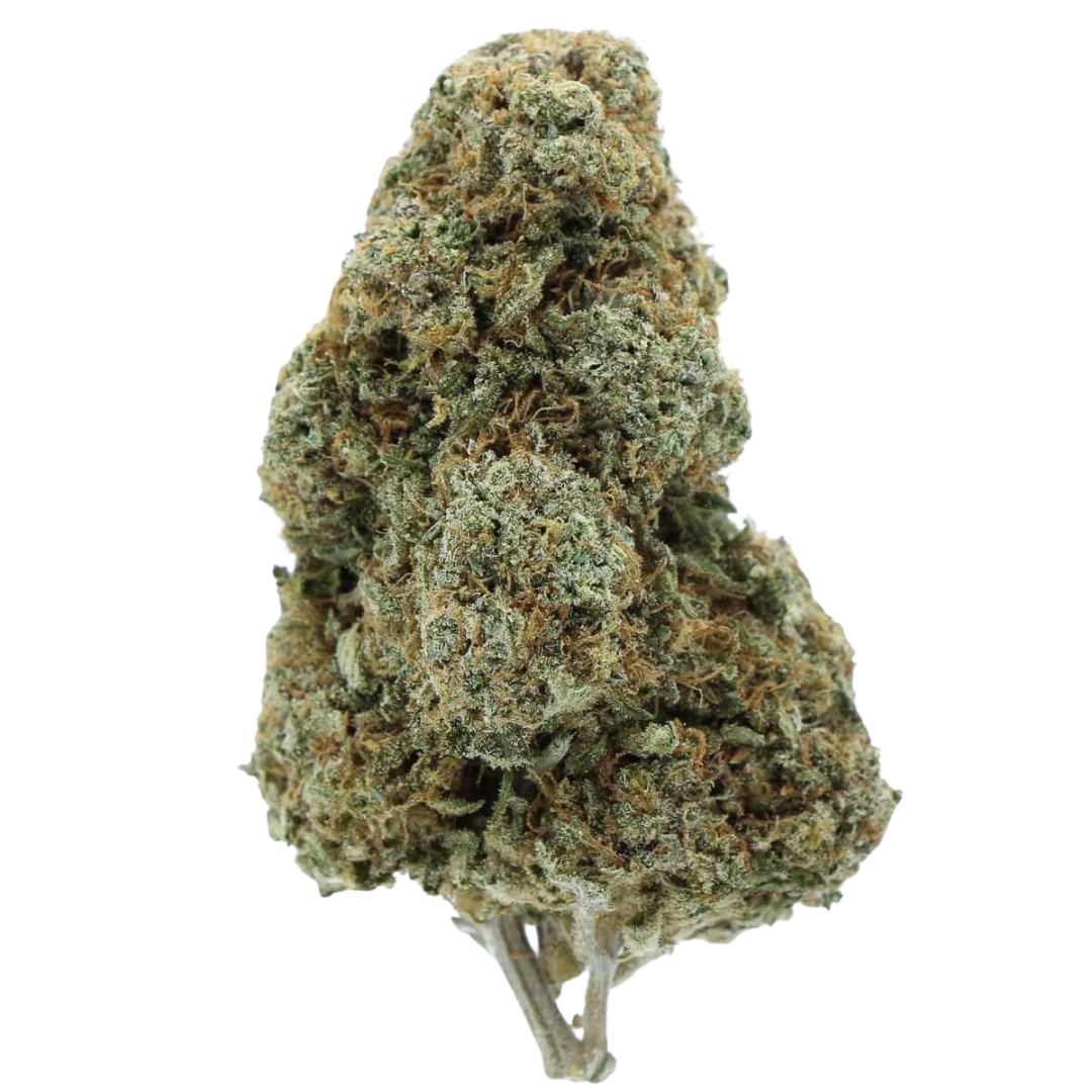Aliens vs Cowboys