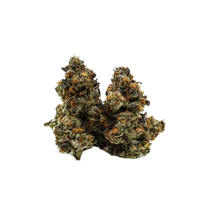 Alley Cat Kush