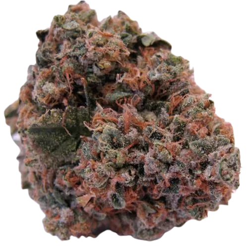 Alpine OG