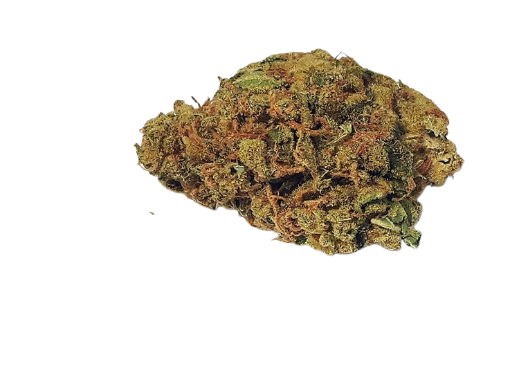 Amnesi K Lemon
