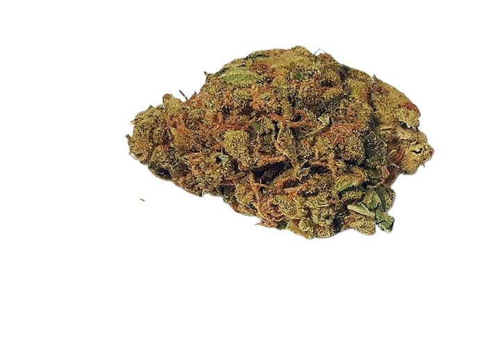 Amnesi K Lemon