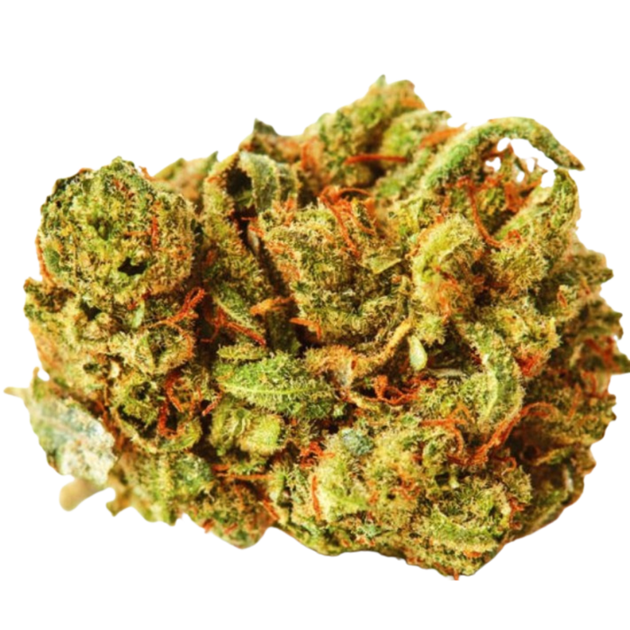 Amnesia Flash