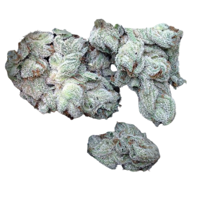Amnesia White
