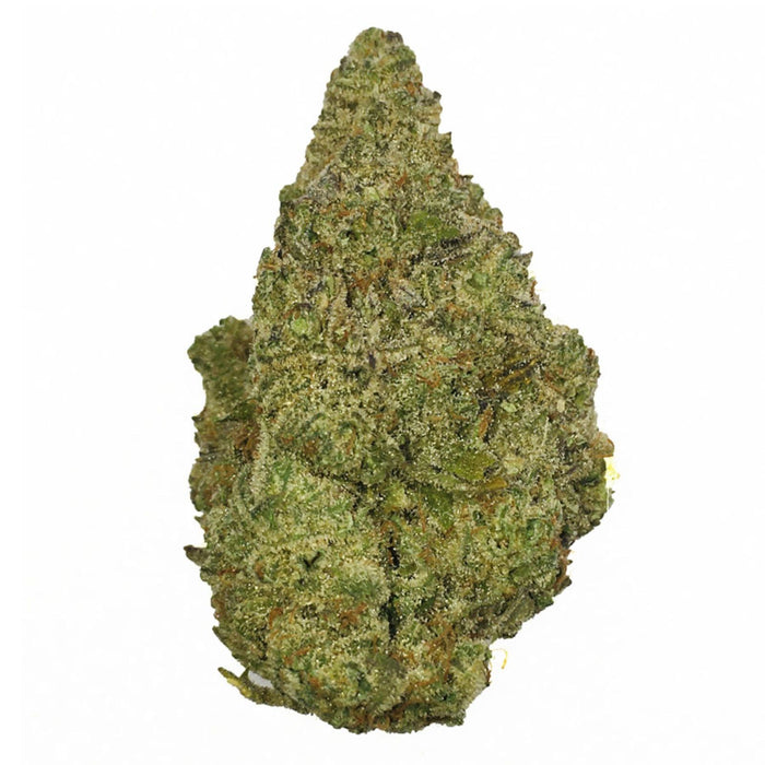 Amnesia OG