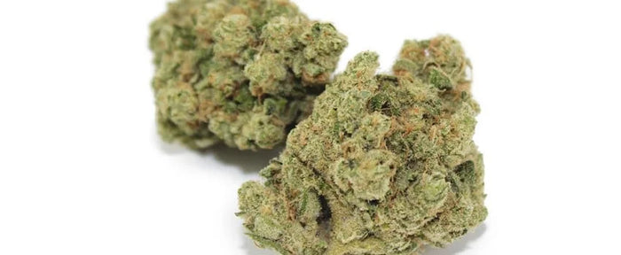 Ancient Kush
