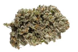 Angel OG