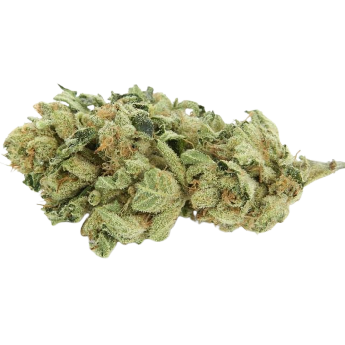 Angels OG