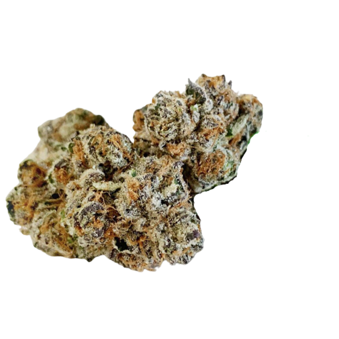 Animal Cookies