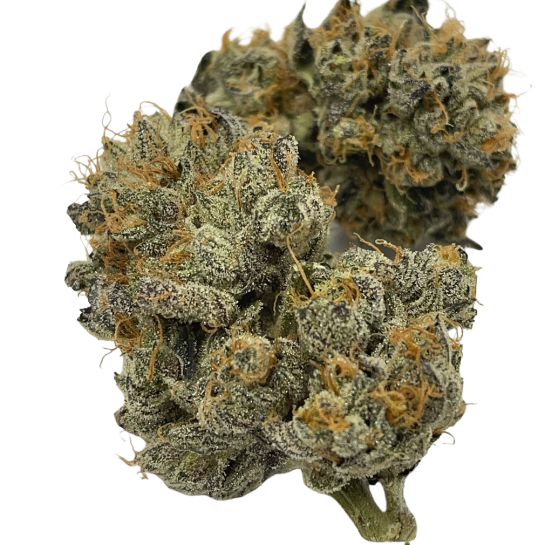 Animal Gas