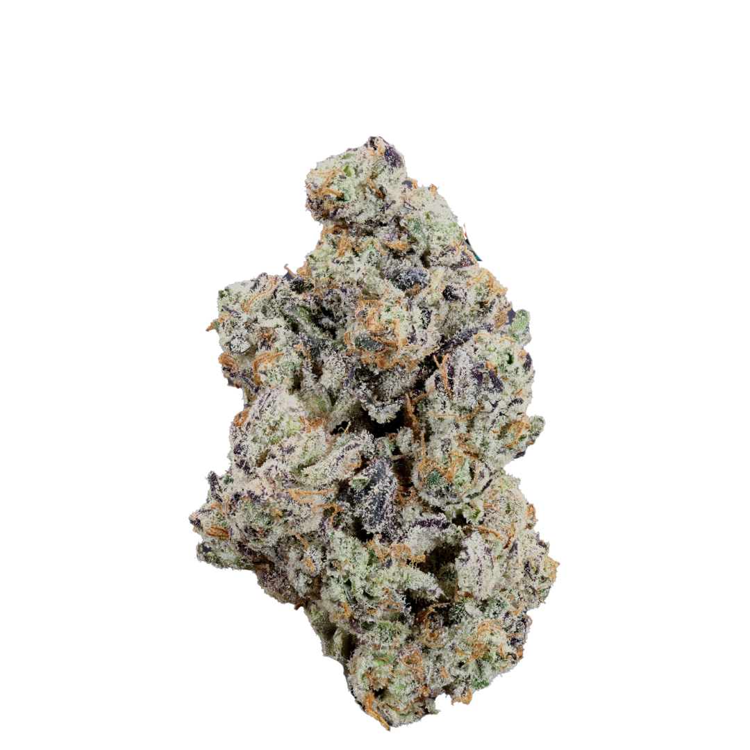 Animal Sherbert