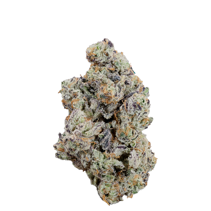 Animal Sherbert