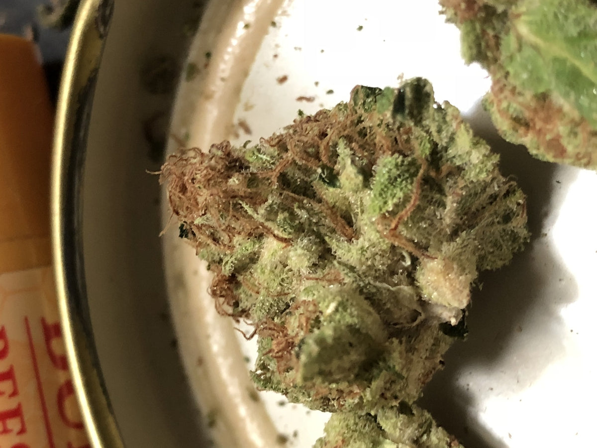 Anonymous OG