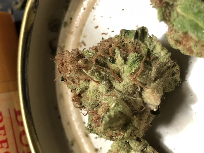 Anonymous OG
