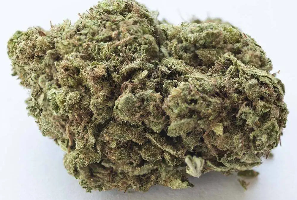 Arabian Gold