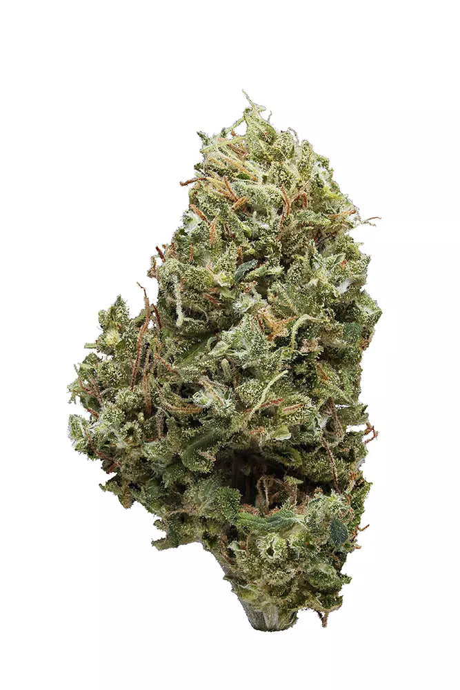 Arjans Ultra Haze 1