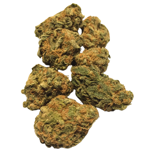 Atomic Northern Lights