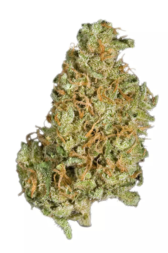 Blackberry Haze