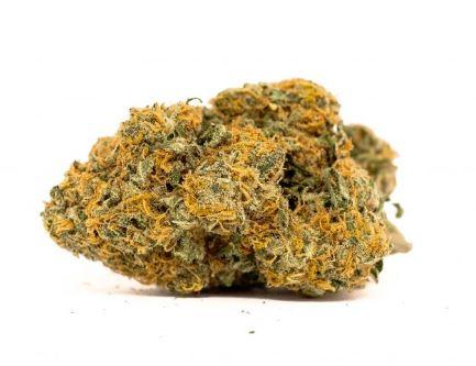 Cambodian Haze