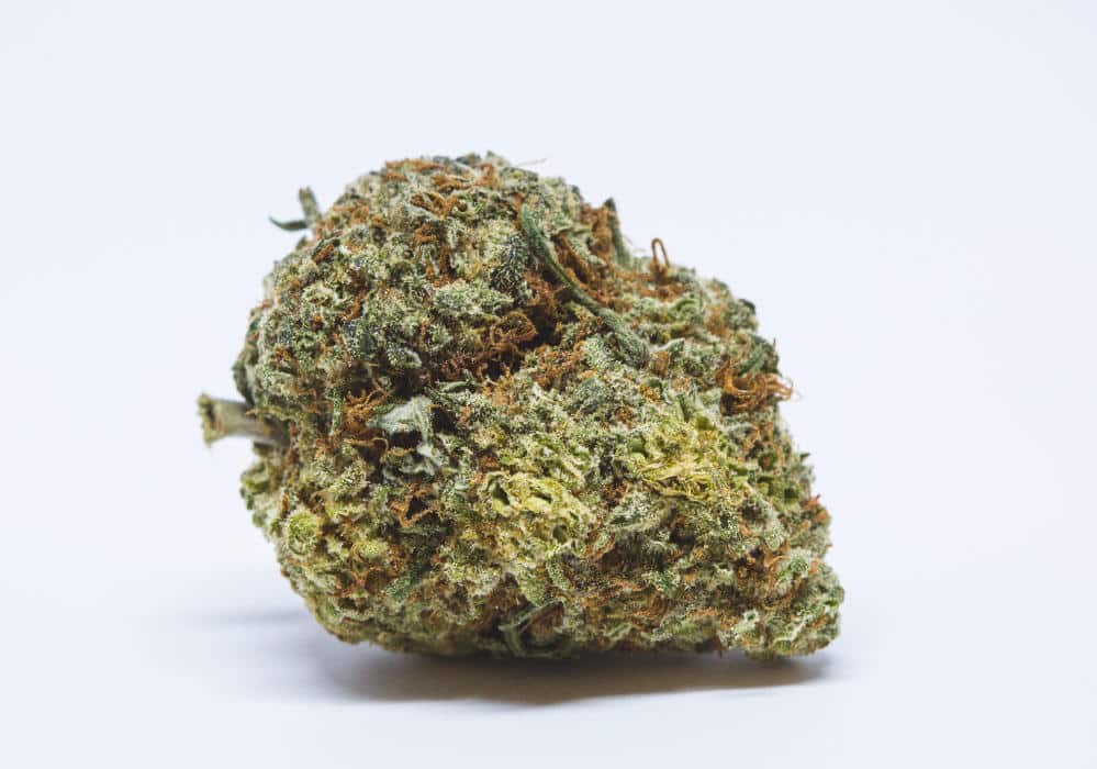 Canna Wreck
