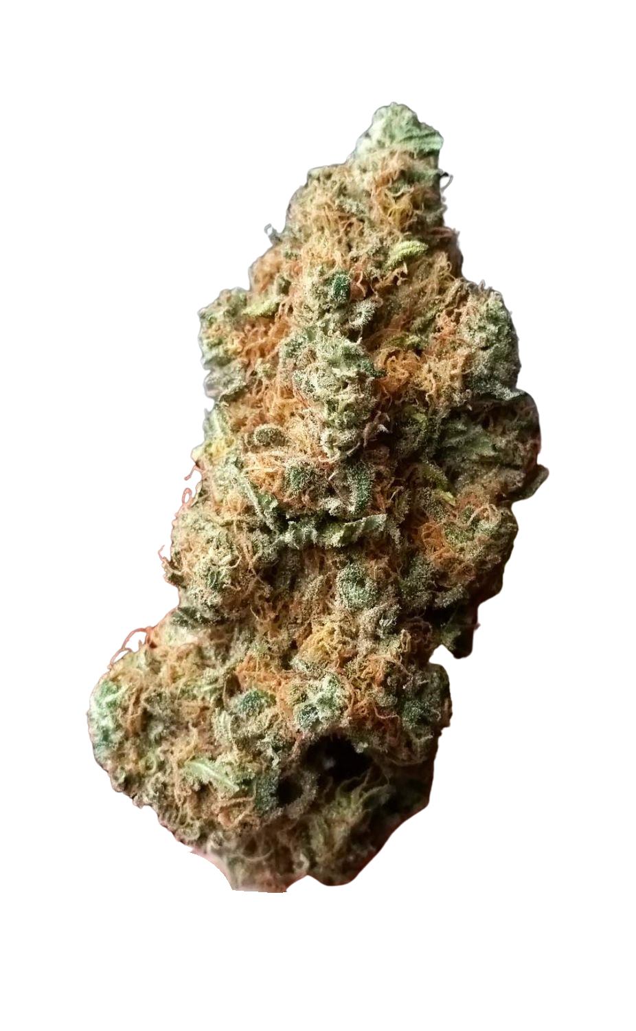 Chocolate Skunk