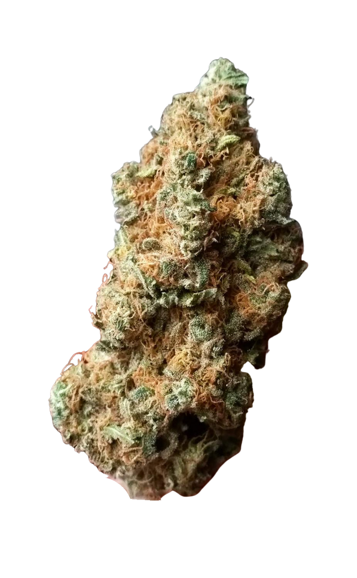 Chocolate Skunk