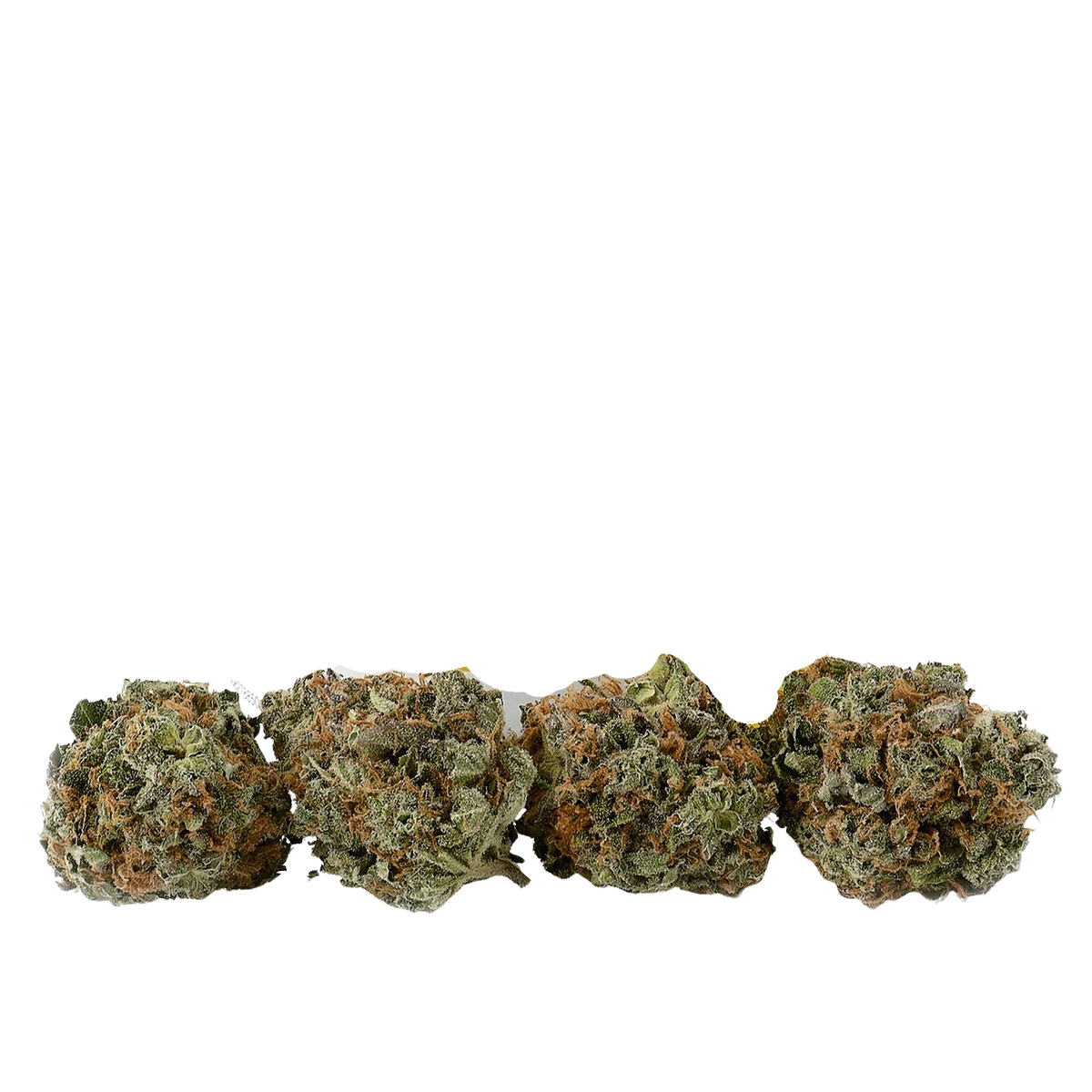 Citrus Punch