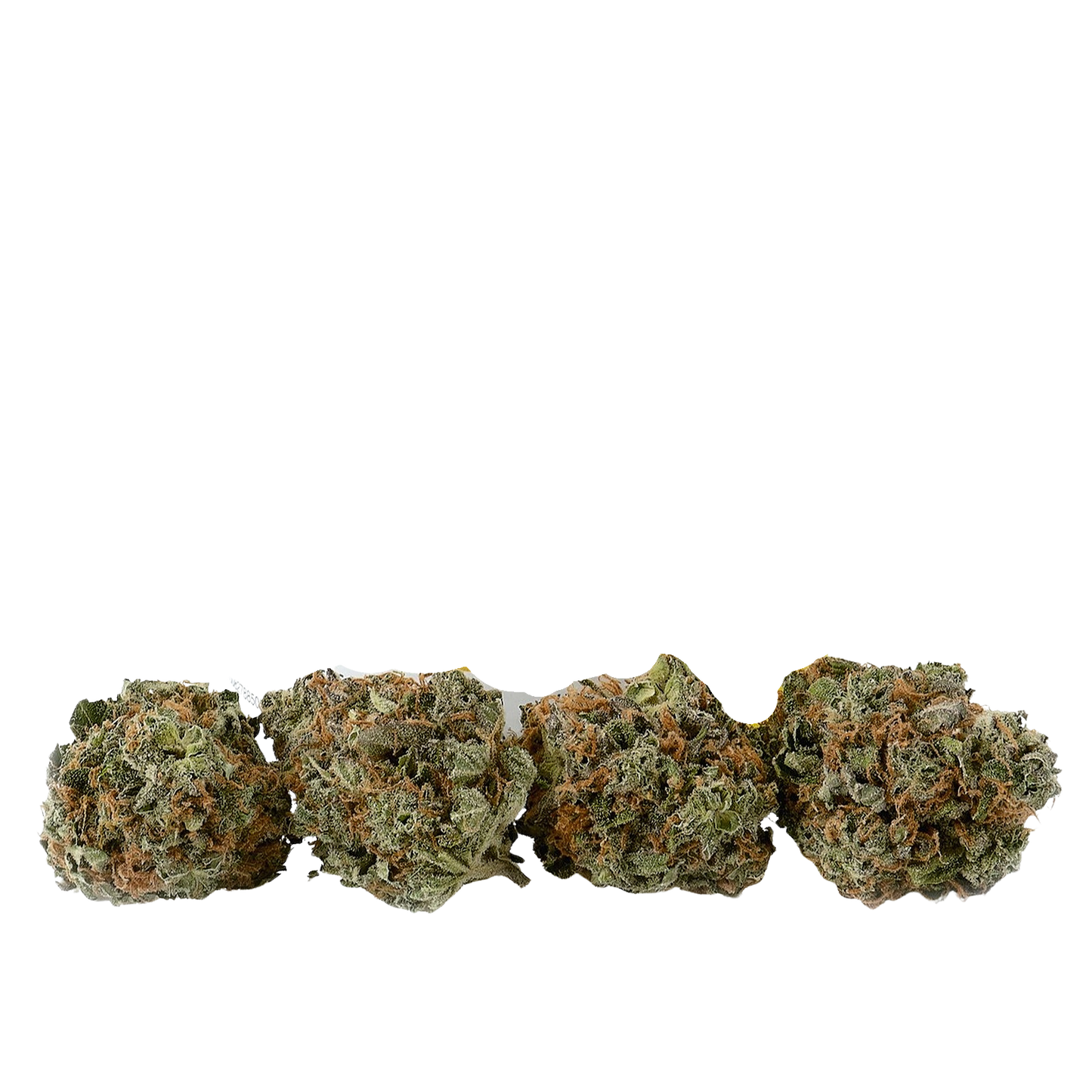 Citrus Punch