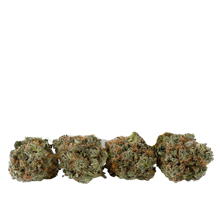 Citrus Punch