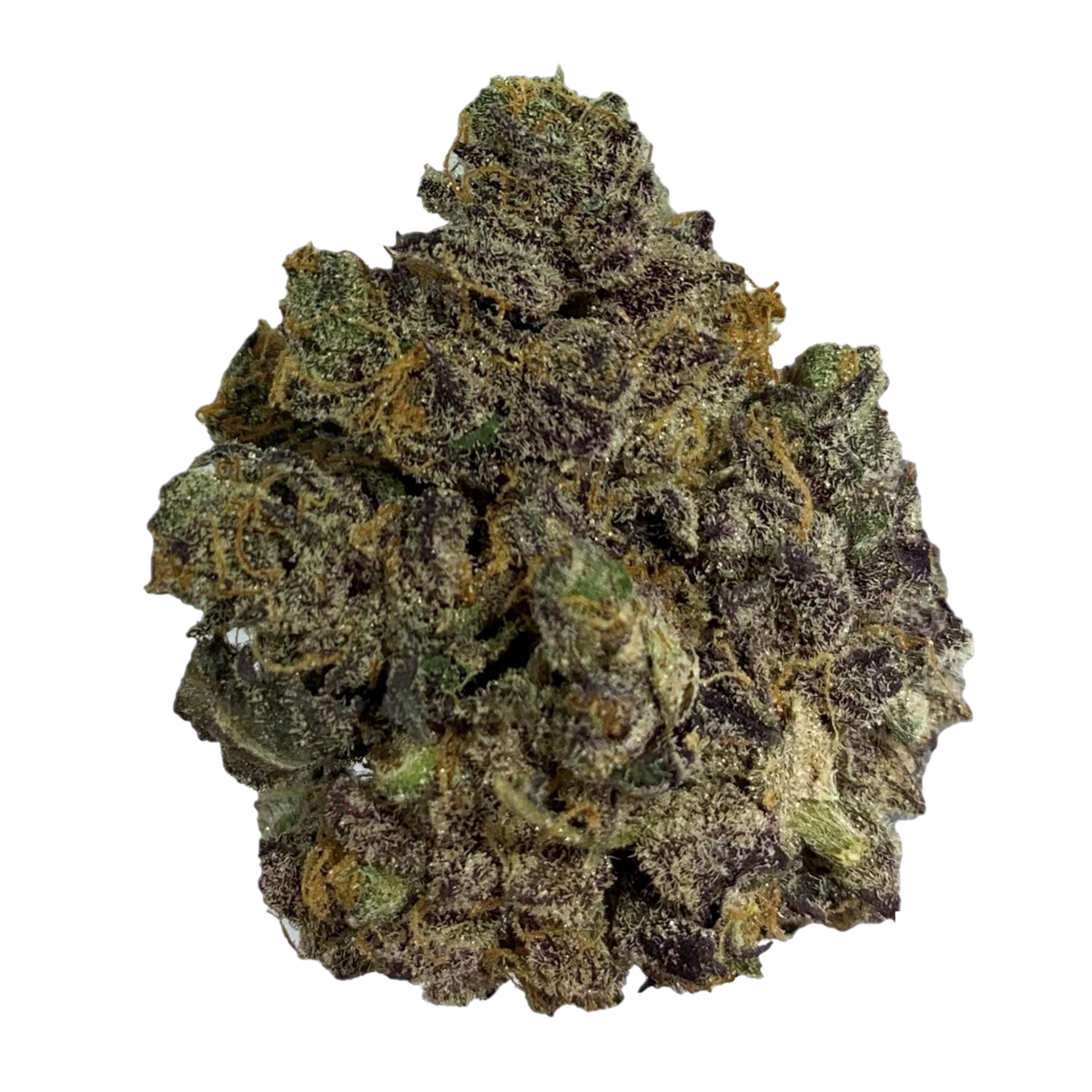 Critical Kali Mist