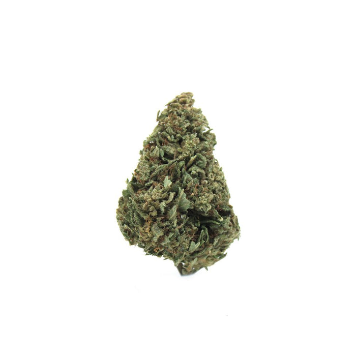Critical Kush