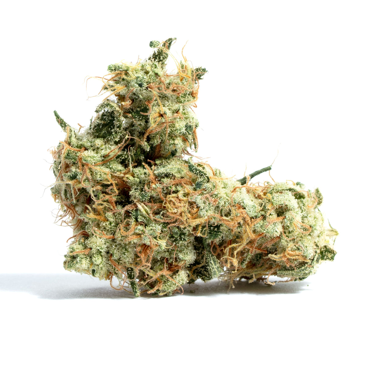 Dutch Treat Haze cannabis strain