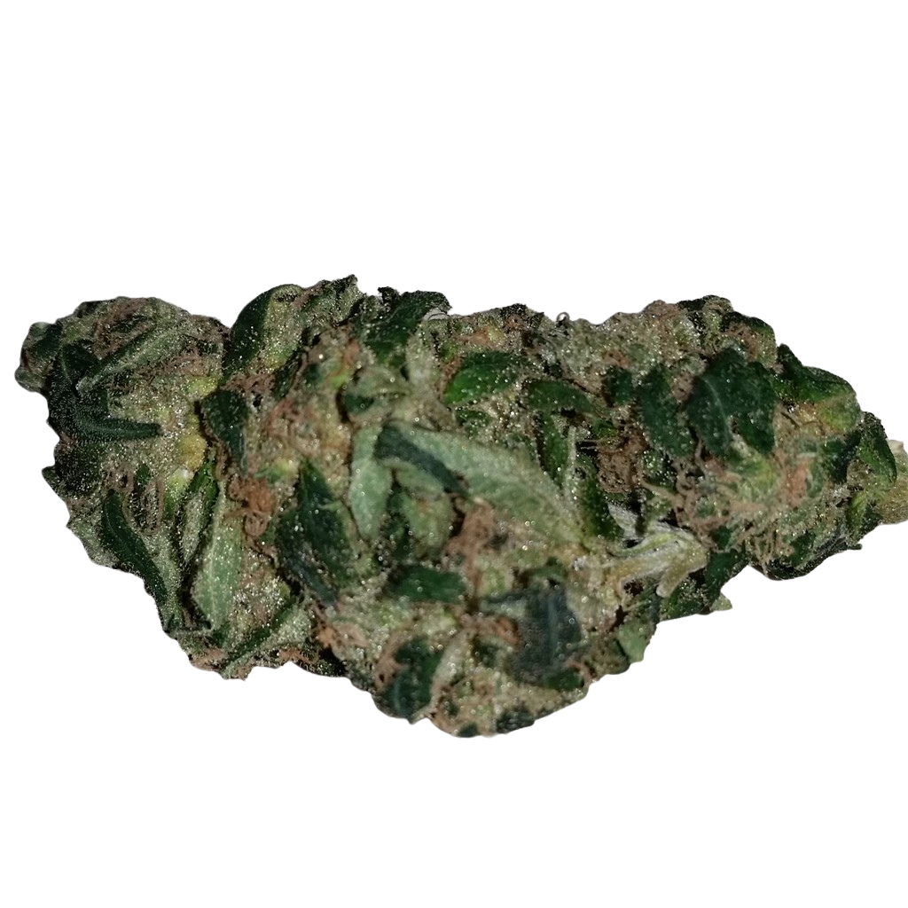 Damn Sour