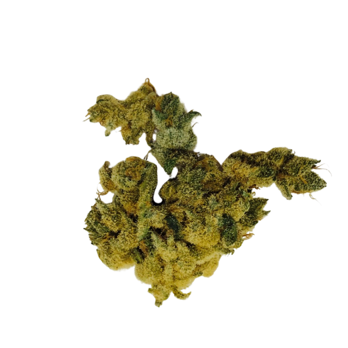 Dutch Hawaiian