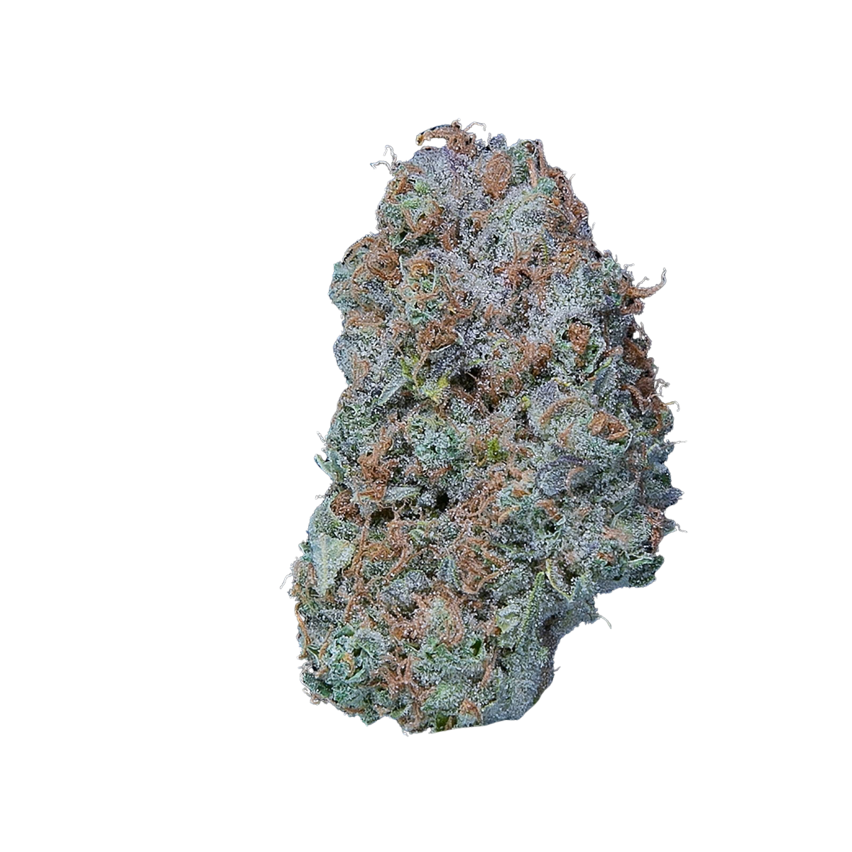 Dutch Haze