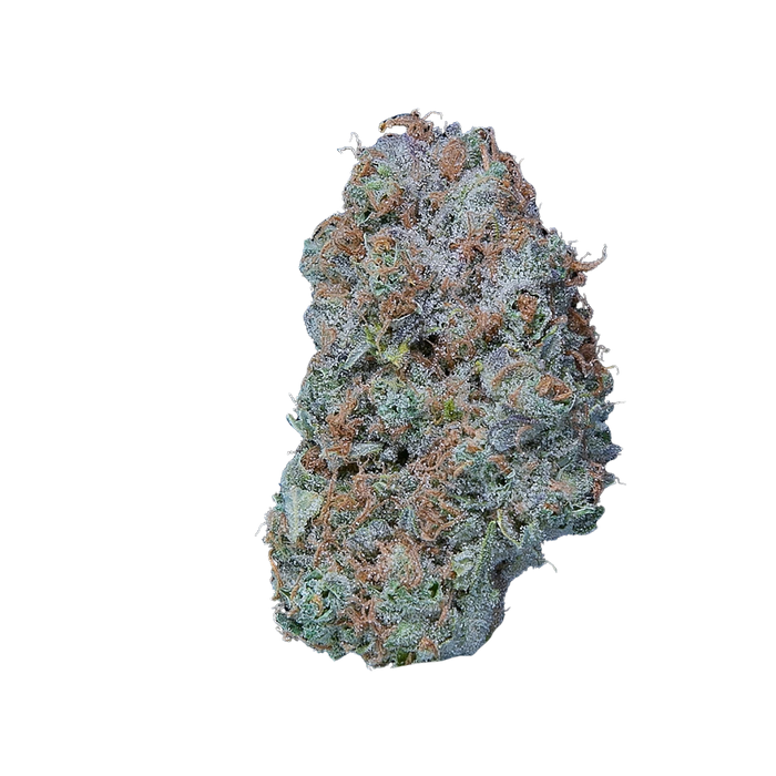 Dutch Haze