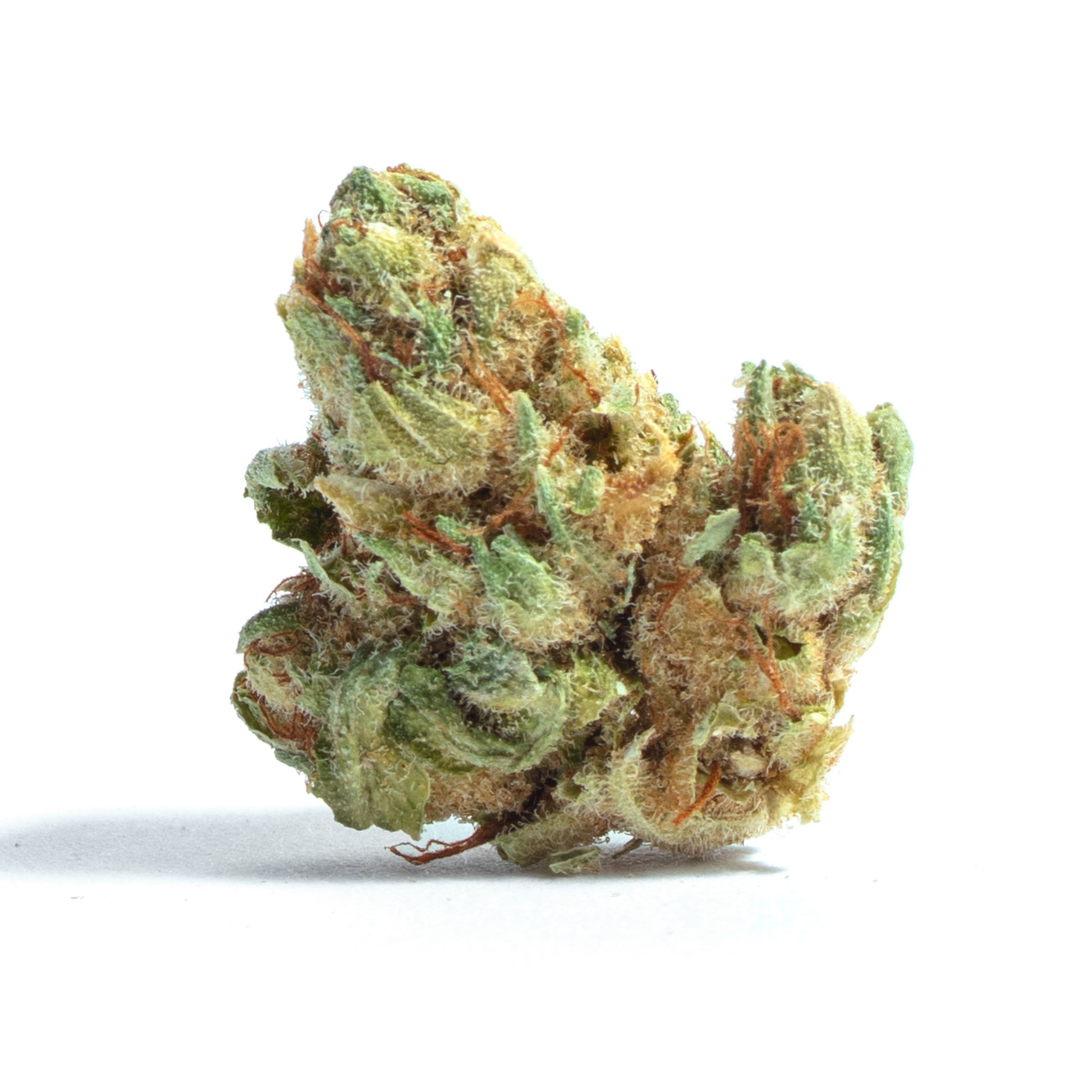 Goji OG cannabis strain
