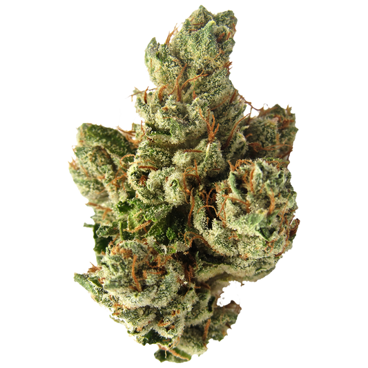 SFV OG cannabis strain