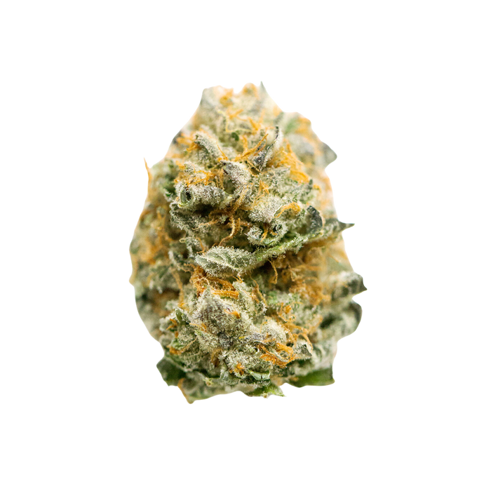 Grease Monkey