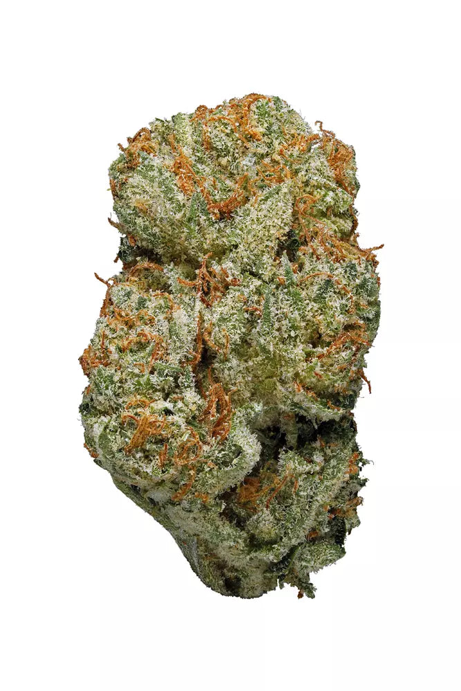 Hawaiian Snow