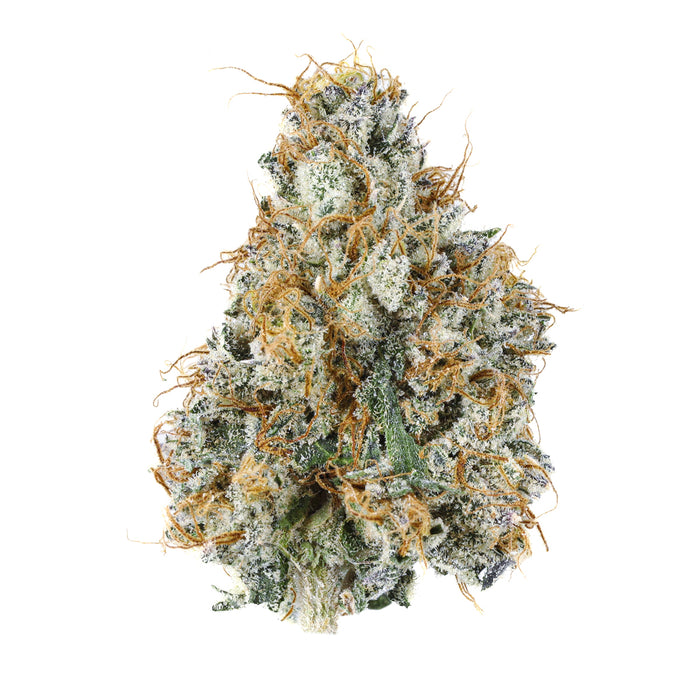 Gary Payton cannabis strain