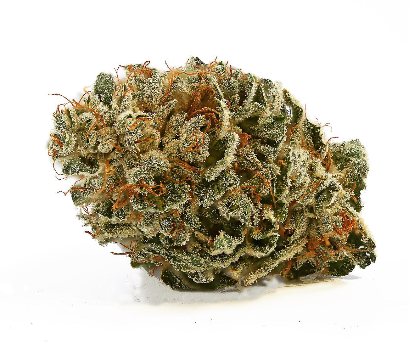 White CBG cannabis strain