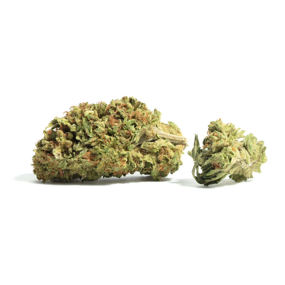 Lemon Garlic OG cannabis strain