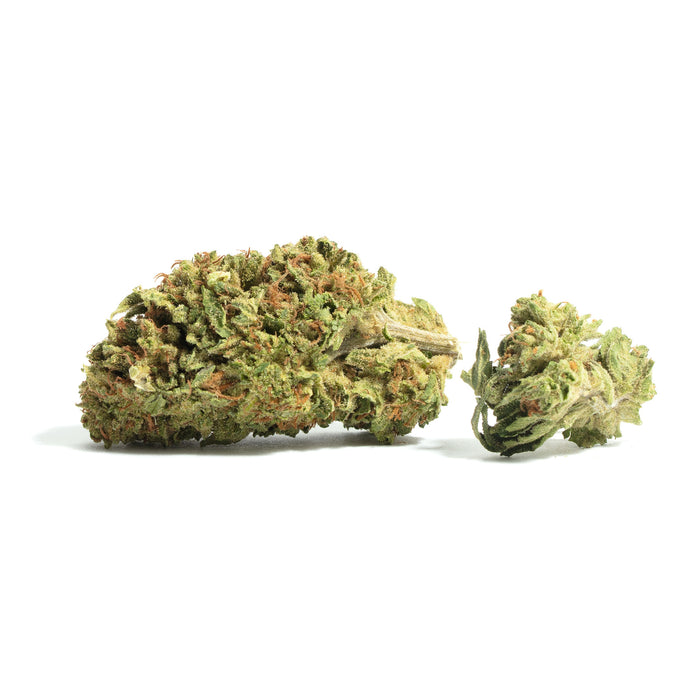 Lemon Garlic OG cannabis strain