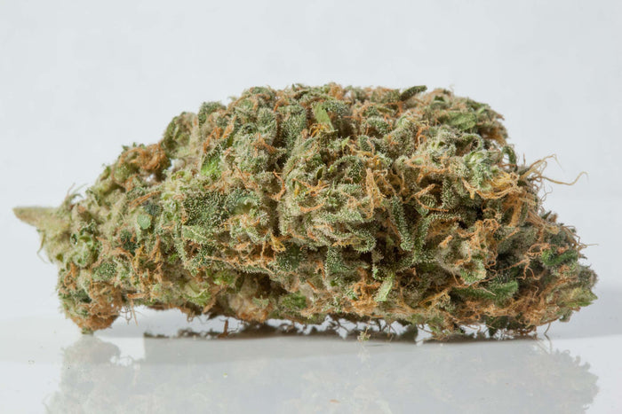 Light of Jah
